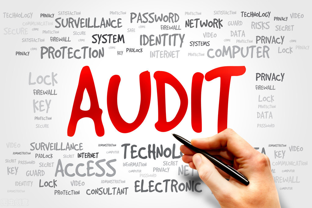 Auditֳô˸Ч