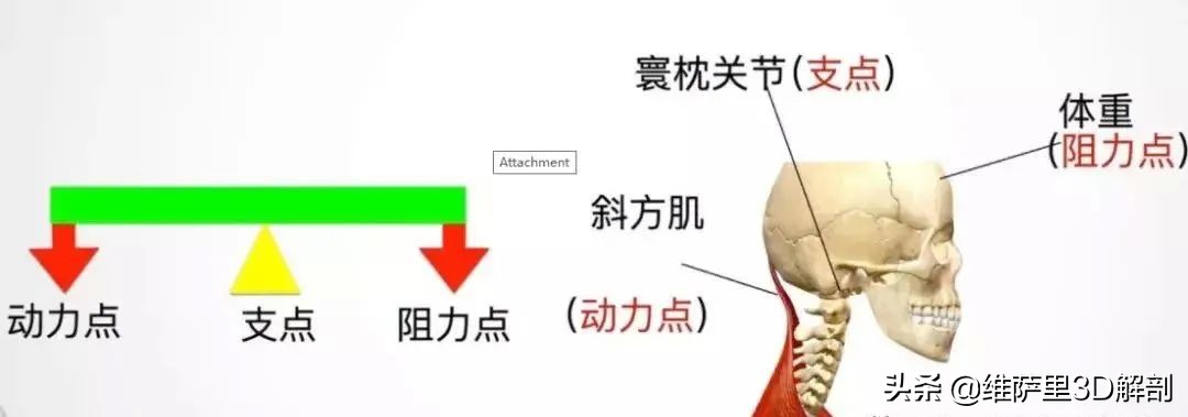 ûСԸ