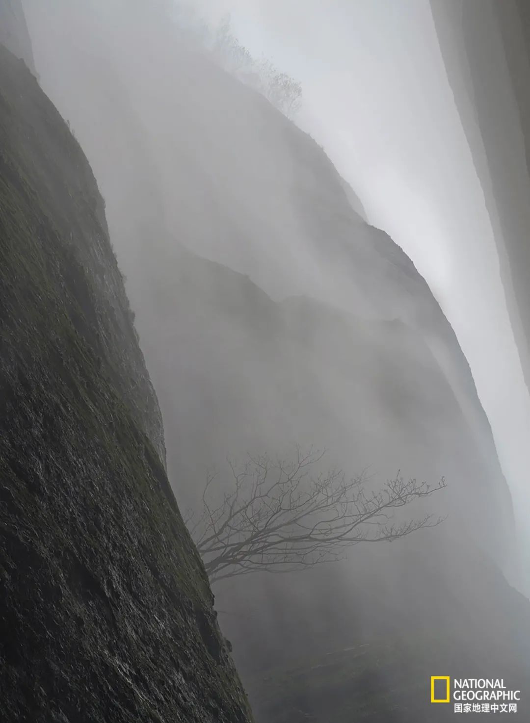 ɽ