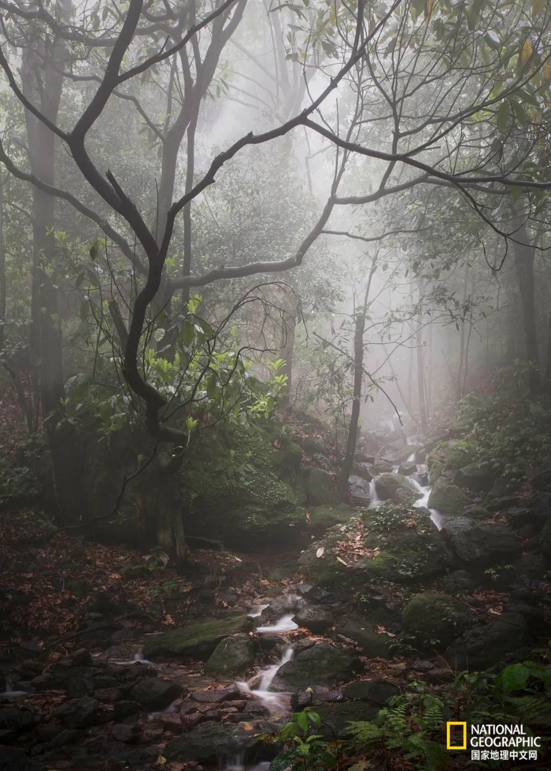 ɽ