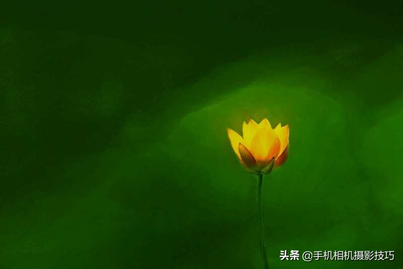15Ӹ㣬Ƭ绨ҲԴ