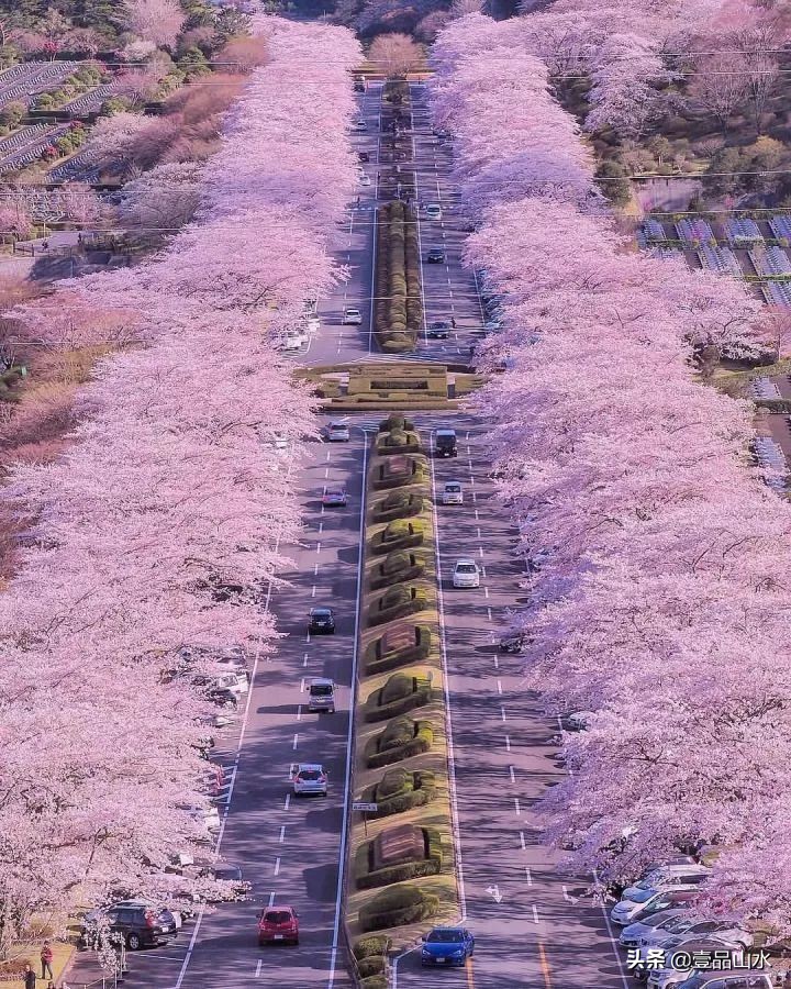 ҲһӶѵһ澰