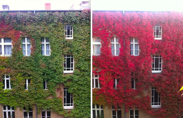 30Źȥ.vs.ڵĶԱգʱ