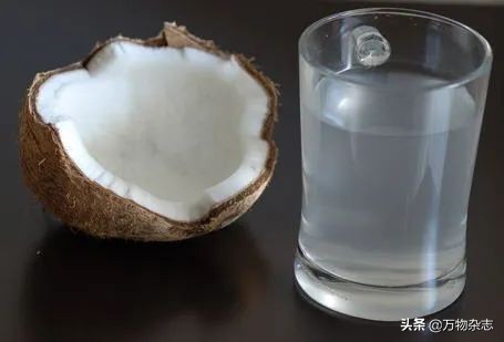 ԵҬΪʲôҲҬ֭Ҭ