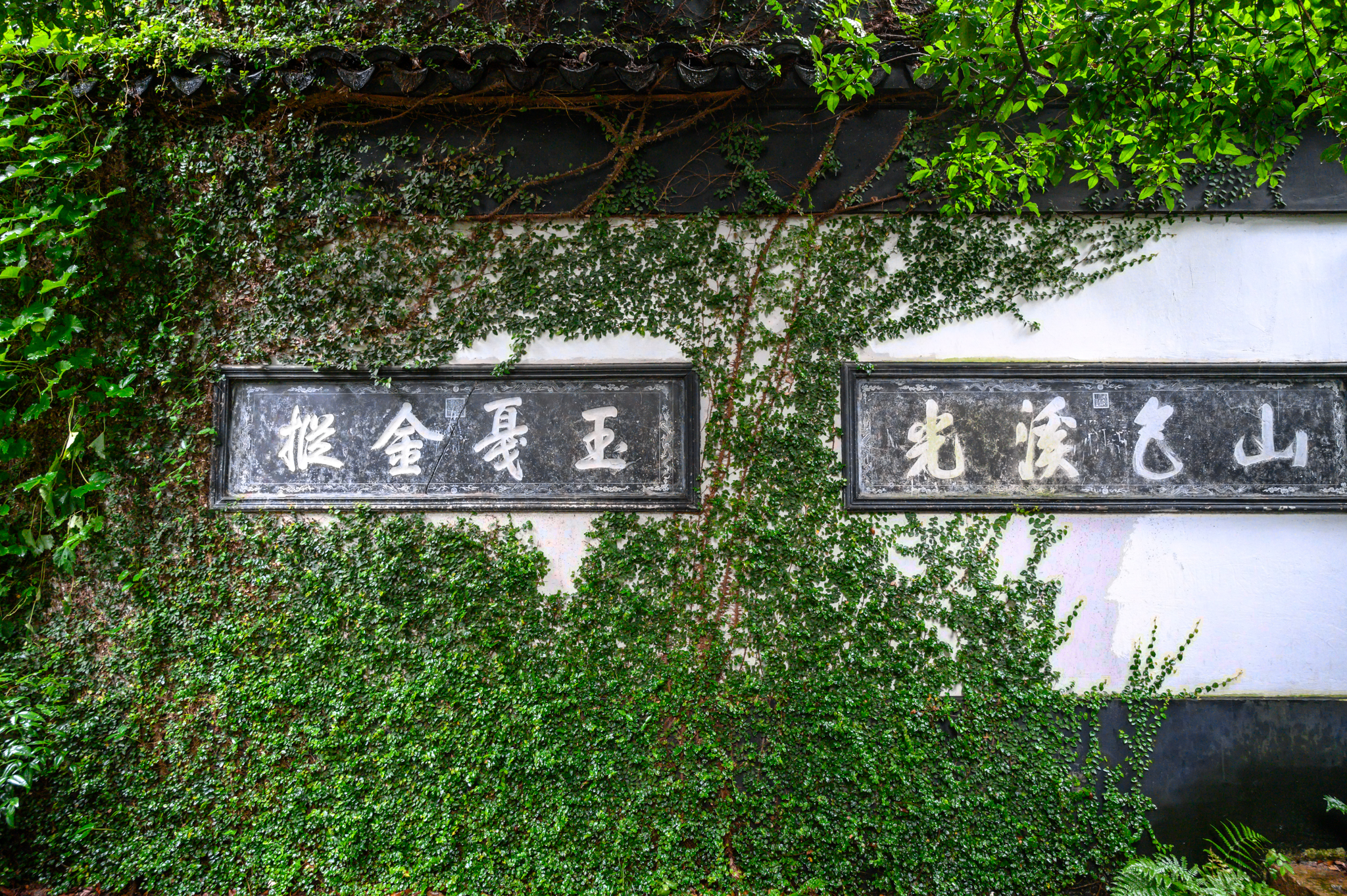江苏被忽略的江南名园，藏在古镇之中，康熙乾隆两帝曾多次游历