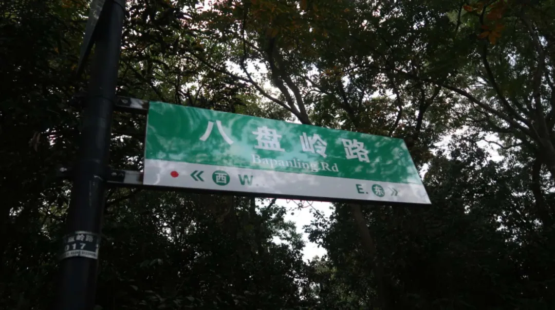 48Сʱһ