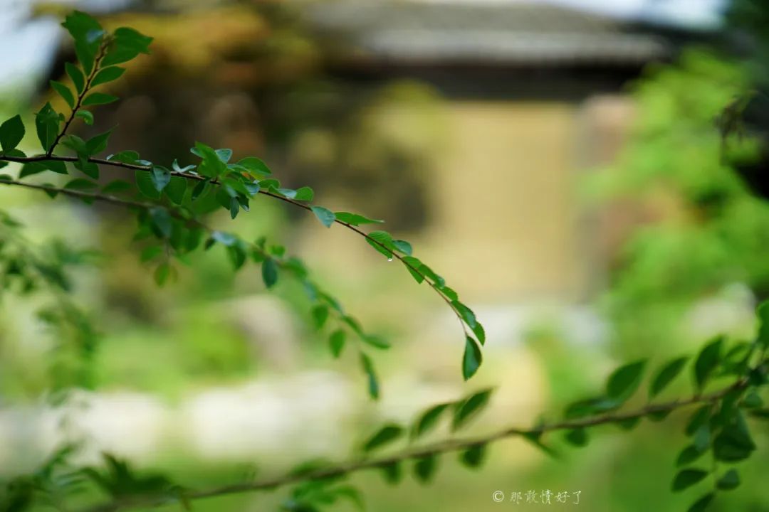 ɽ˵0Ļ̴լޣסڴ辰