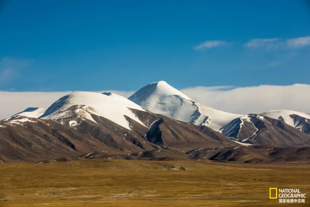 ԴԴ
