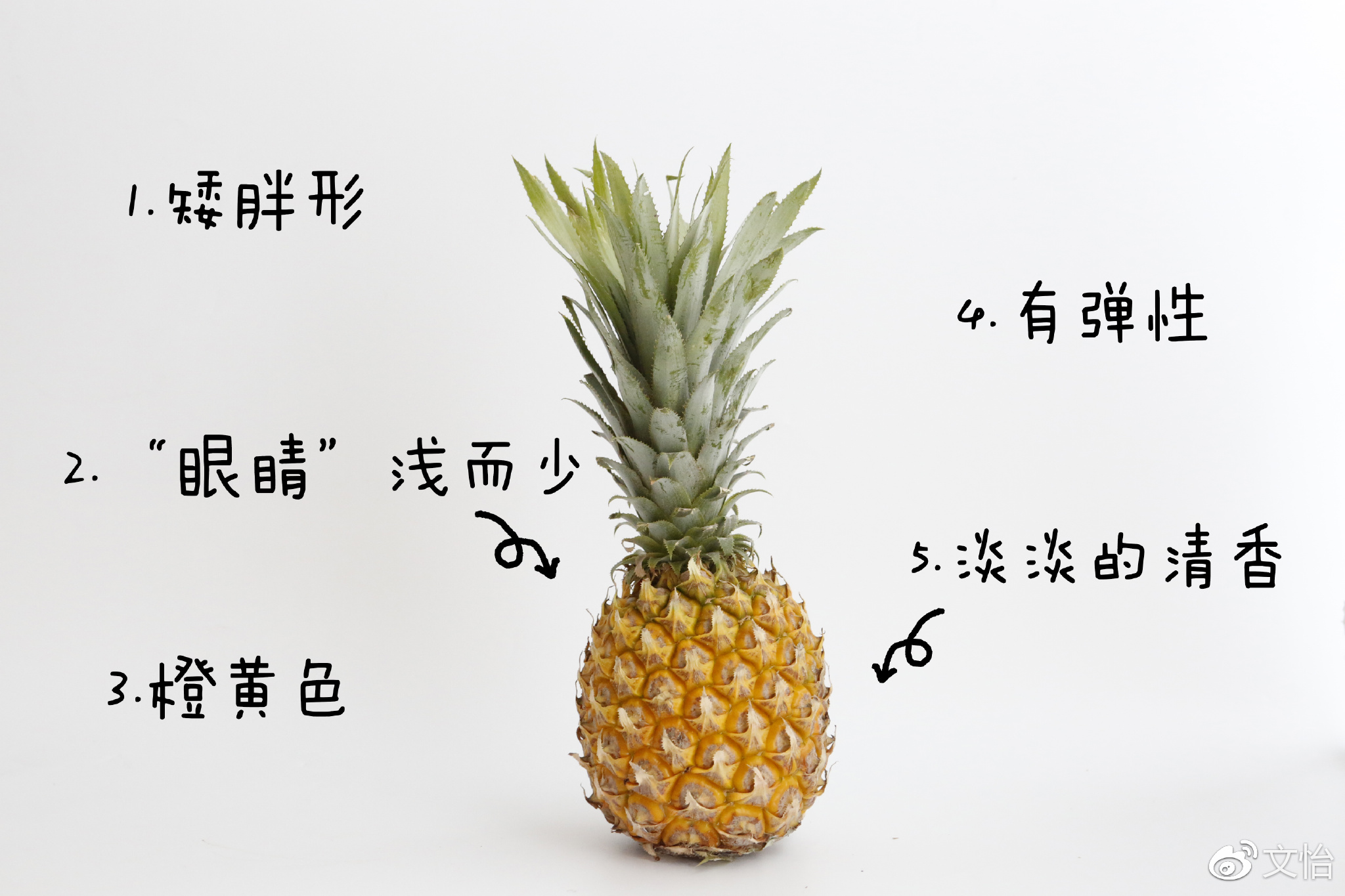 óˮѡ