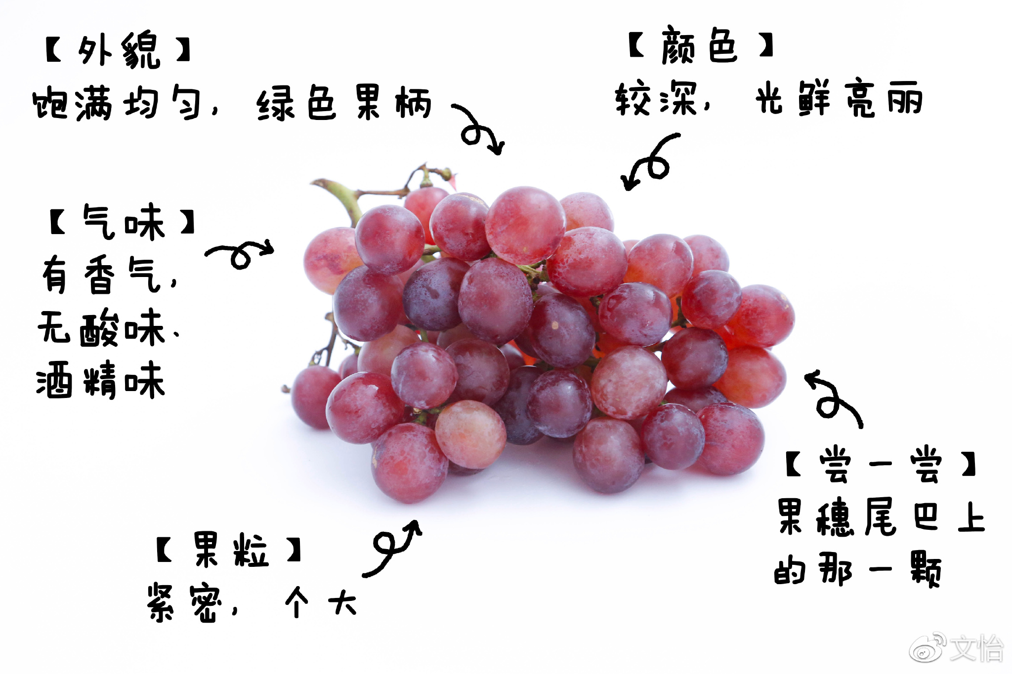 óˮѡ