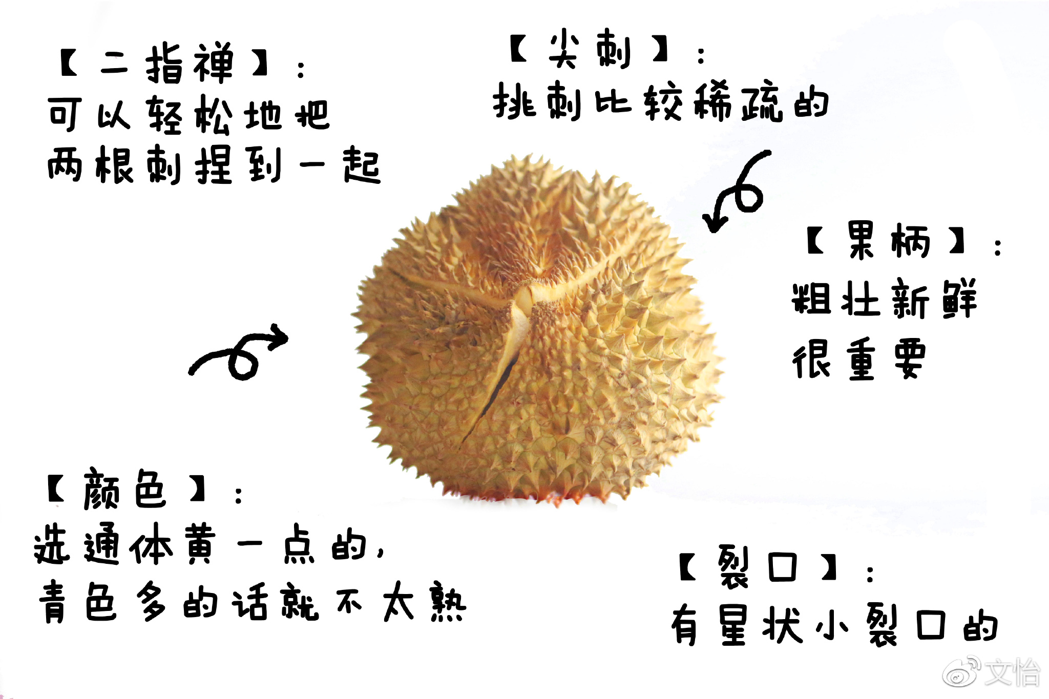 óˮѡ