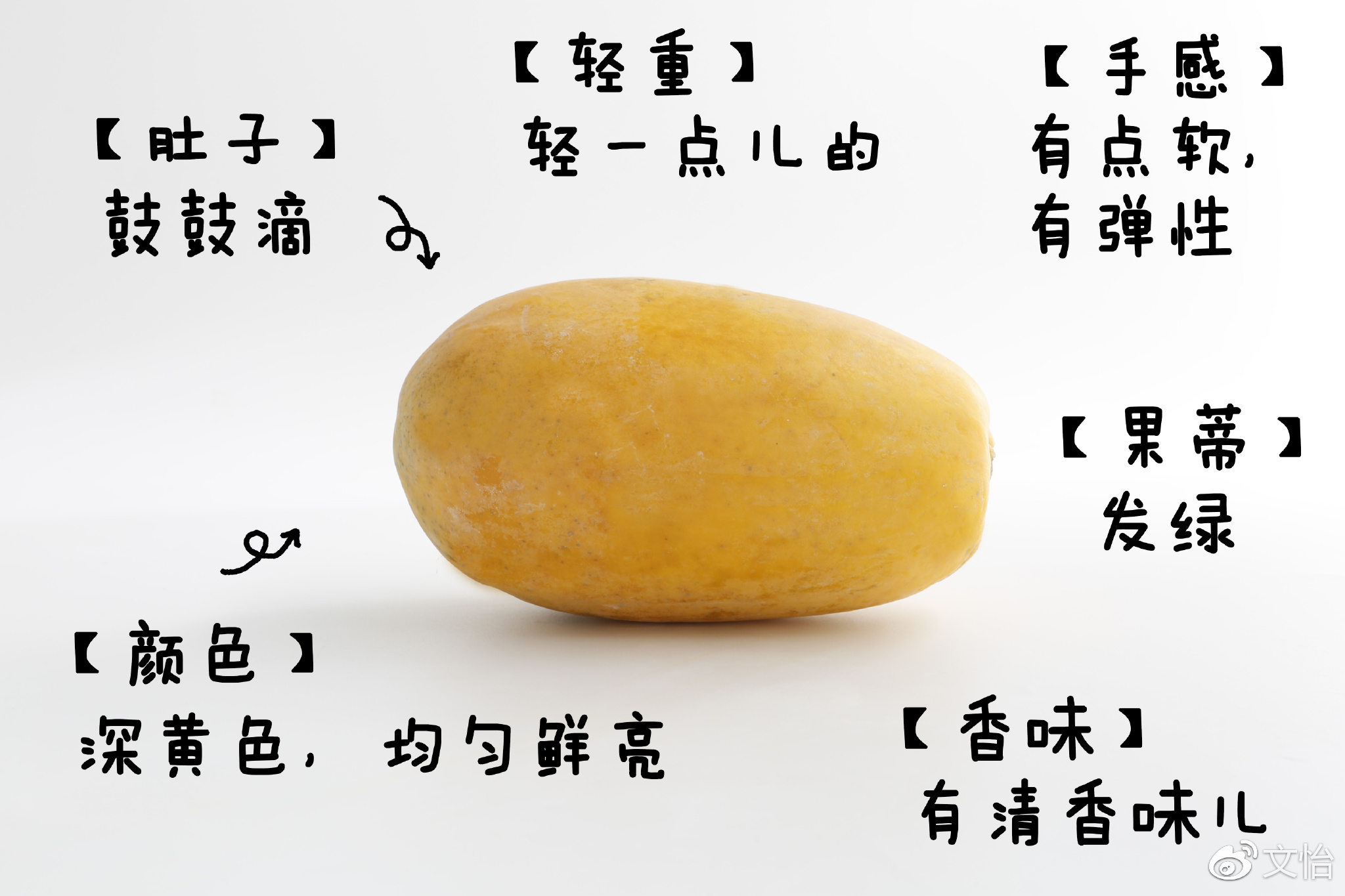 óˮѡ