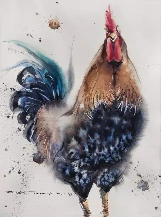 一张张如此美丽张扬的鸡