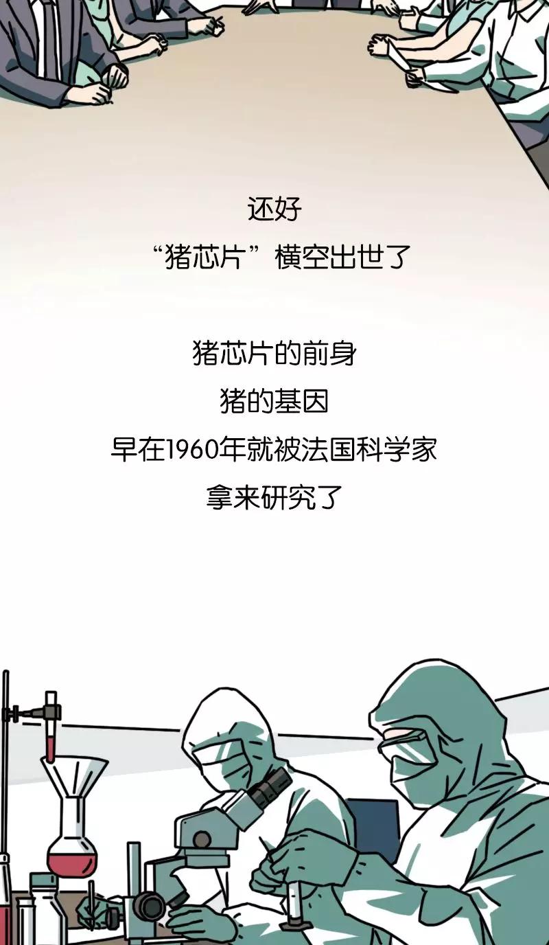 ٴΪй