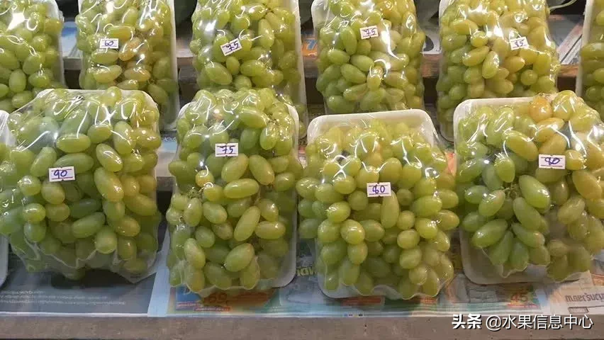 最全水果的感官鉴别，存放条件及陈列要求