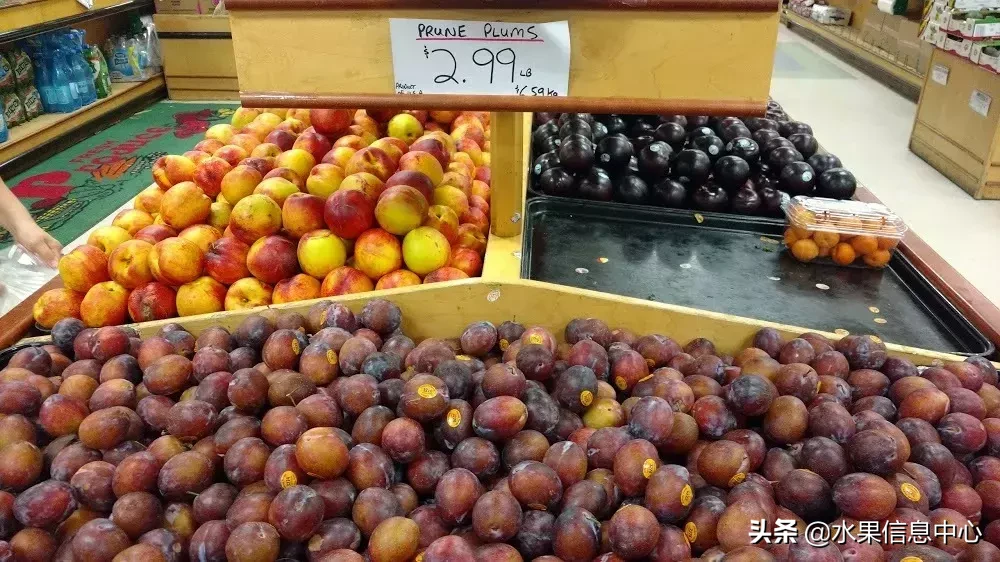 最全水果的感官鉴别，存放条件及陈列要求