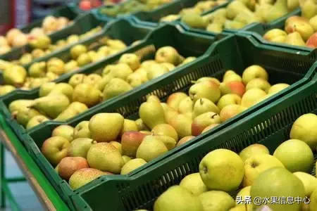 最全水果的感官鉴别，存放条件及陈列要求