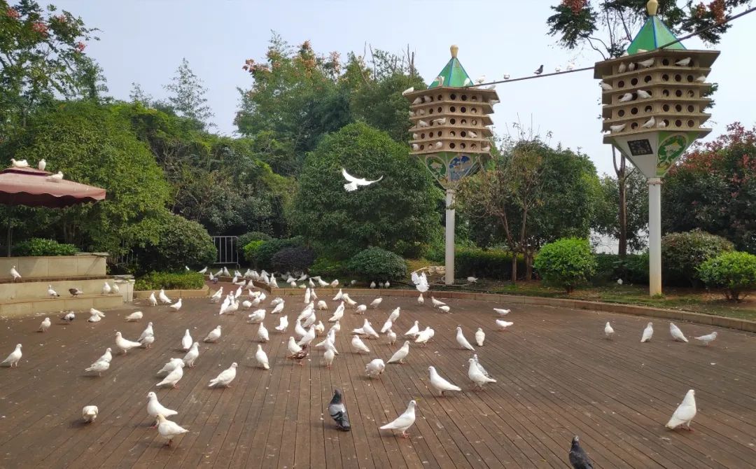 ҵϲ嵥ƪ