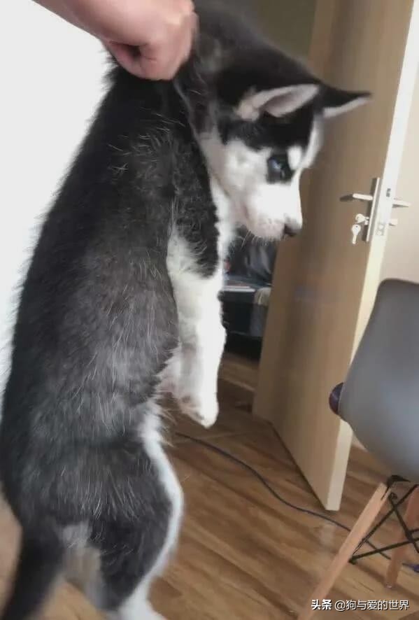 ҧסɿڣסЩܱ