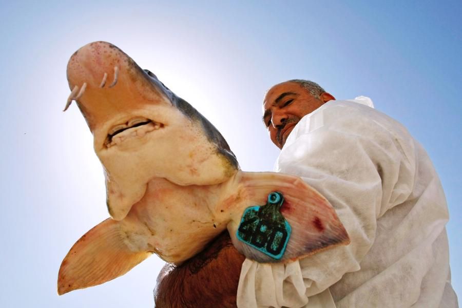 ӽọ̈̄ȫ̷ǳѹ