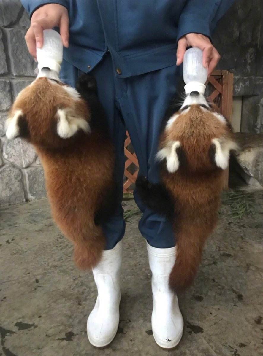 ǧҪŻСèͶ