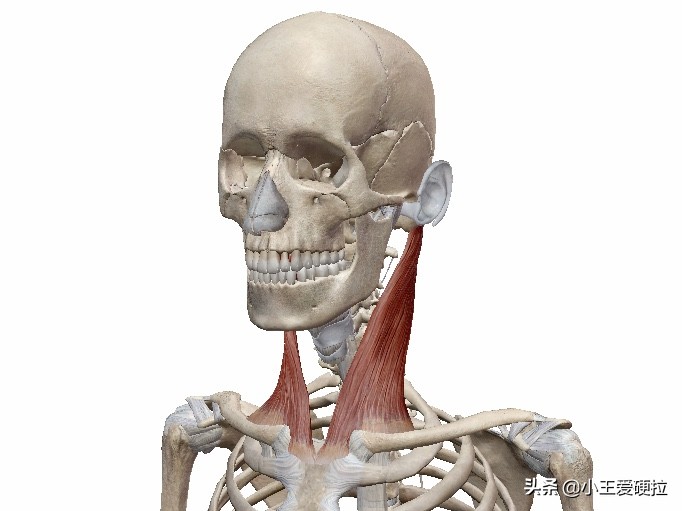 9ϵľ׵ͷʹѣζ֢״ҸƷ