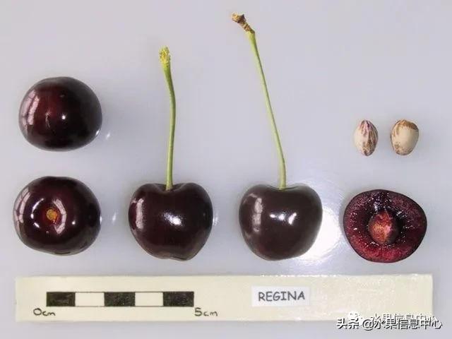 2021ȫƷֵ˵