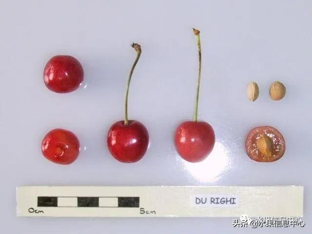 2021ȫƷֵ˵