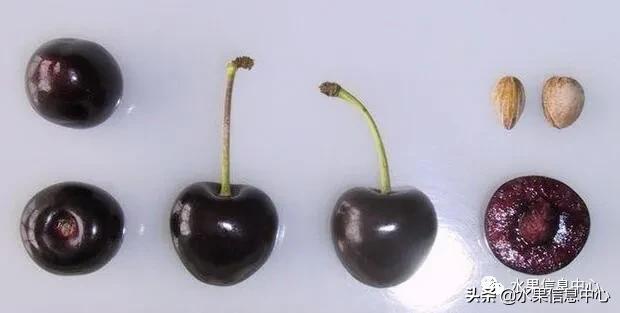 2021ȫƷֵ˵