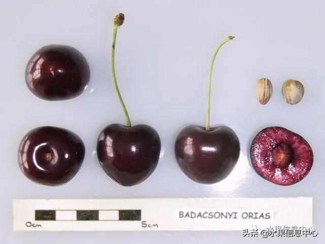 2021ȫƷֵ˵