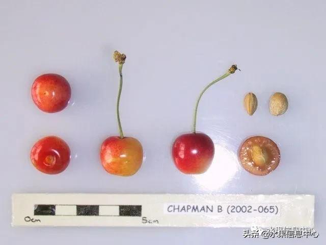 2021ȫƷֵ˵