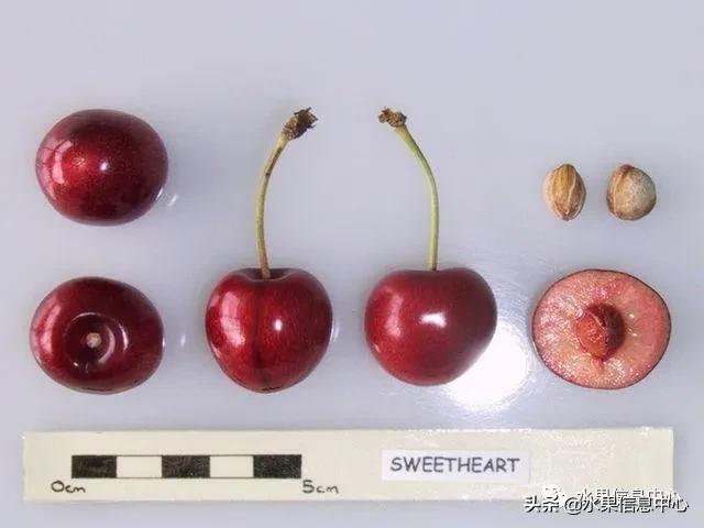 2021ȫƷֵ˵