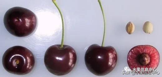 2021ȫƷֵ˵