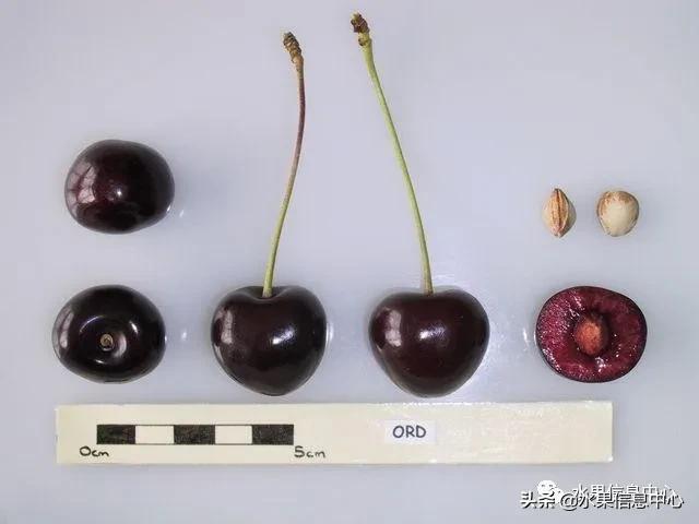 2021ȫƷֵ˵