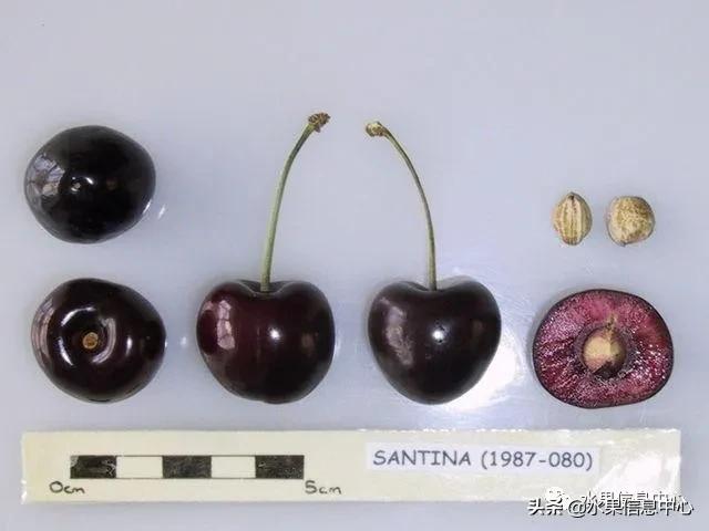 2021ȫƷֵ˵