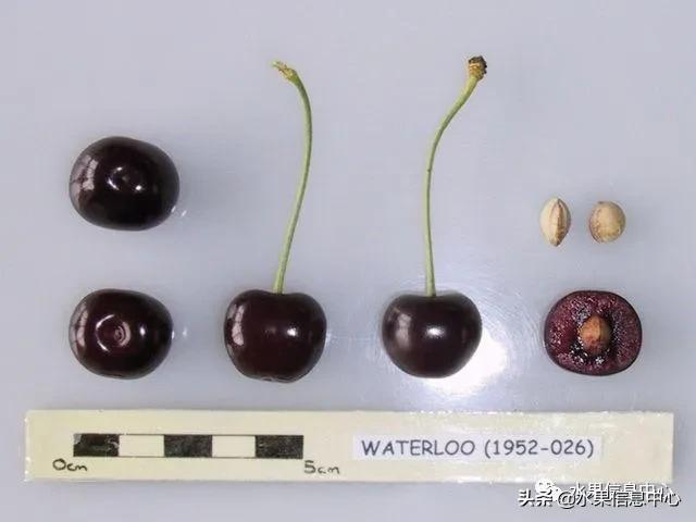 2021ȫƷֵ˵