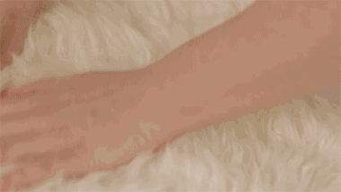 ֽѹʽΪɫ飬