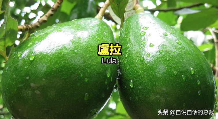 ţ͹30ǰʳƷΪʲôͻȻ