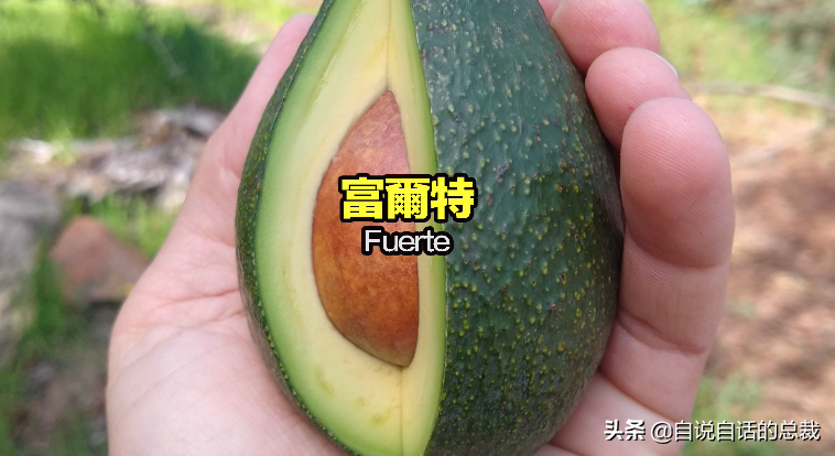 ţ͹30ǰʳƷΪʲôͻȻ