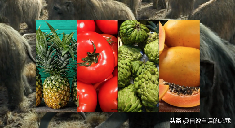 ţ͹30ǰʳƷΪʲôͻȻ