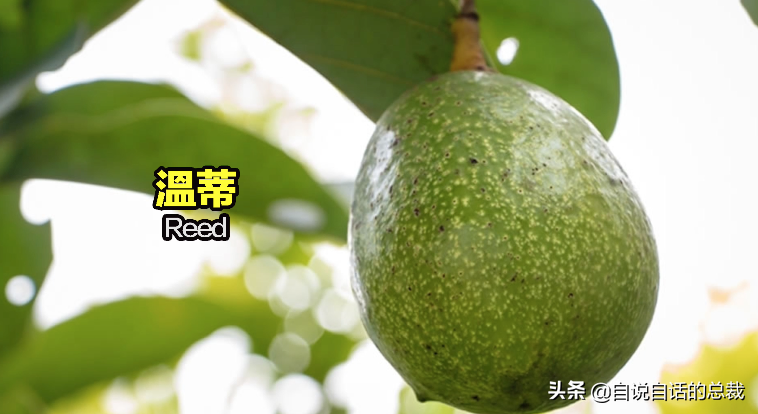 ţ͹30ǰʳƷΪʲôͻȻ