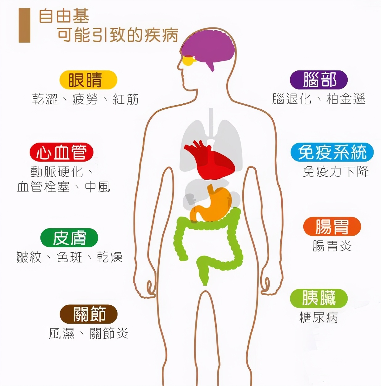 药学博士:皮肤想抗衰老?氧化&糖化?你到底还要交多少智商税?
