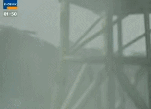 жֲ⼸ֹĺ˵