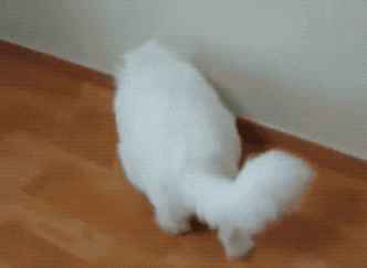 Чƣ˼