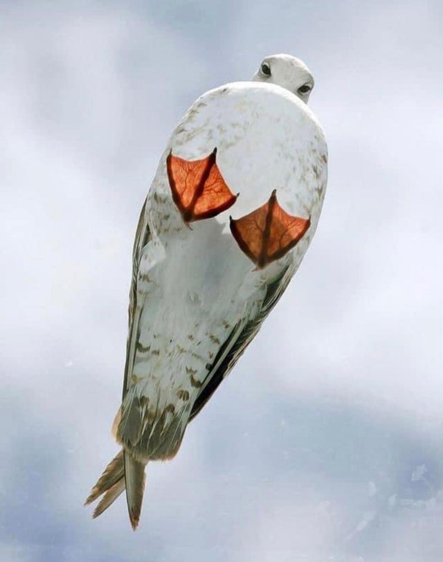 ۽磬30źȤͼƬ