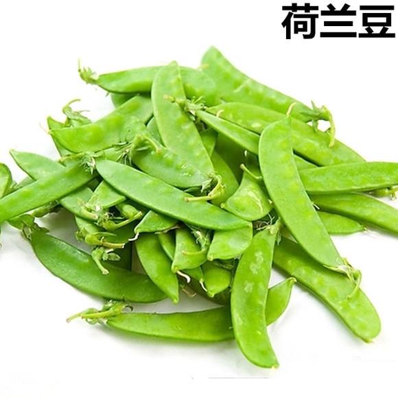 ں50֪ʶȥ˾ͲĹ