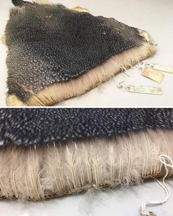 32张罕见的照片，飞机起飞时的30秒长曝光，犹如通向天空的天路