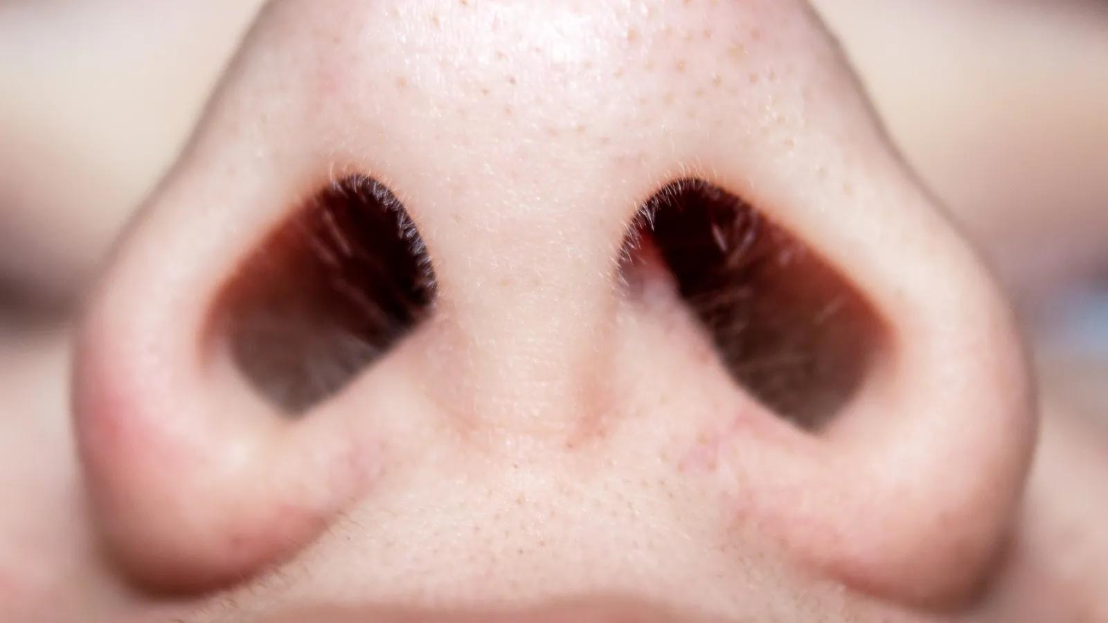 ëܡΣòðεҽѧ