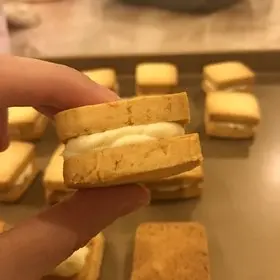 ʳٳԣ˿ԳЩ