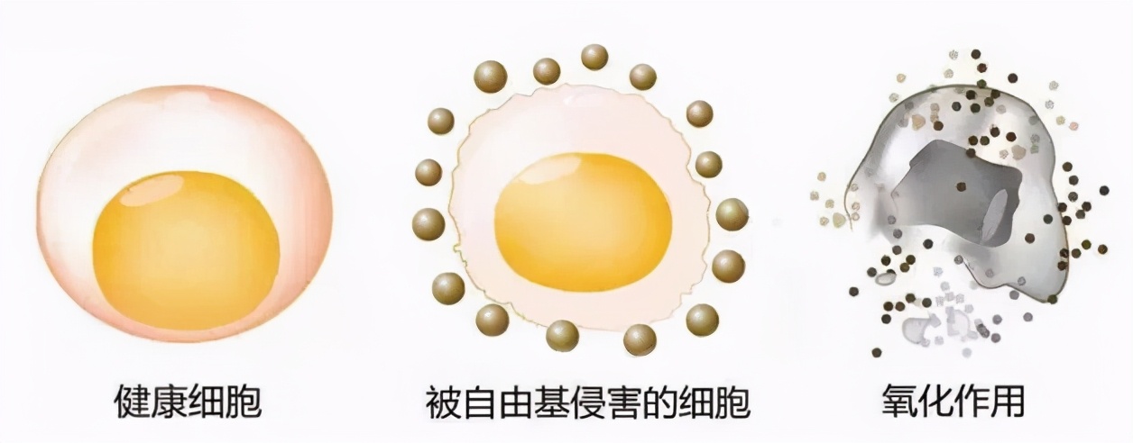 ˥ϣʵûô